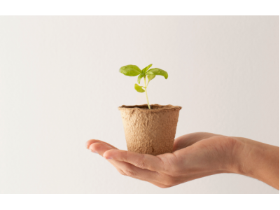 Детокс печени: разбор ингредиентов, польза и реальная помощь