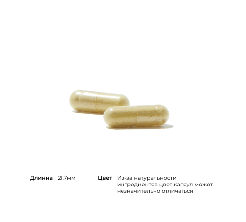 Ежедневный витаминный комплекс, Basic Nutrients 2/Day, Thorne, 60 капсул